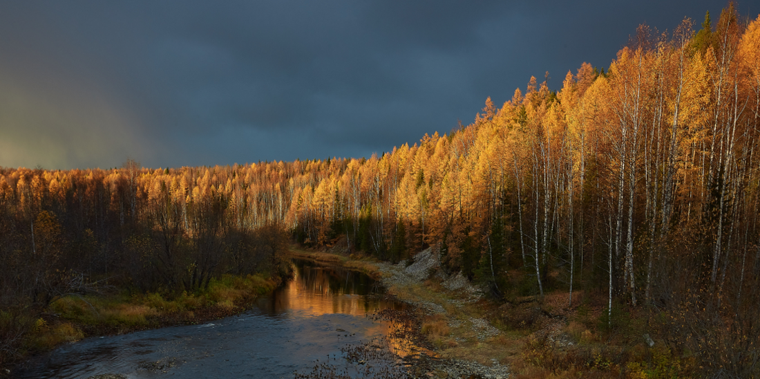«Золотая река» в номинации «Осенний пейзаж»