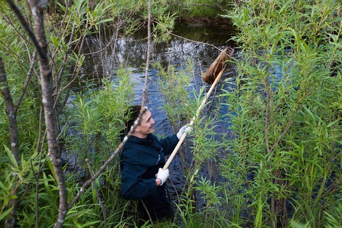Экологическая акция «Речная лента — 2015». Чистим реки. ООО «Газпром трансгаз Ухта»