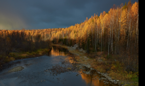 «Золотая река» в номинации «Осенний пейзаж»