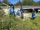В Синдорском ЛПУМГ собрали 36 мешков мусора