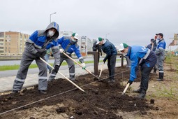 Работники ООО «Газпром трансгаз Ухта» приняли участие в экологическом субботнике «Зеленая весна»